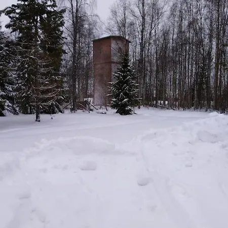 Mukava Mummonmoekki Maaseudun Rauhassa Villa Koivu Exterior photo
